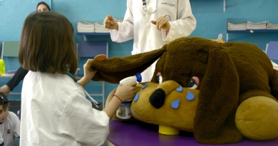 DEBEA amplia em 54% atendimento de guarda responsável em Emebs DEBEA amplia em 54% atendimento de guarda responsável em Emebs