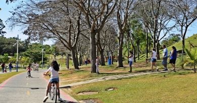 Parque da Cidade tem programação especial para celebrar o Dia da Árvore Parque da Cidade tem programação especial para celebrar o Dia da Árvore