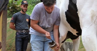 Fundo Social abre curso com foco em haras Fundo Social abre curso com foco em haras